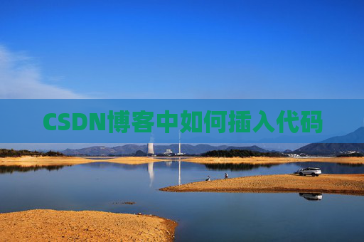 CSDN博客中如何插入代码